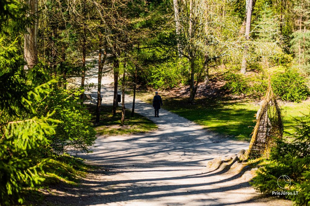 Palanga botanical park
