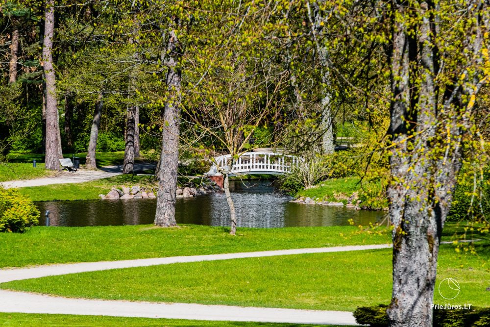Palanga botanical park