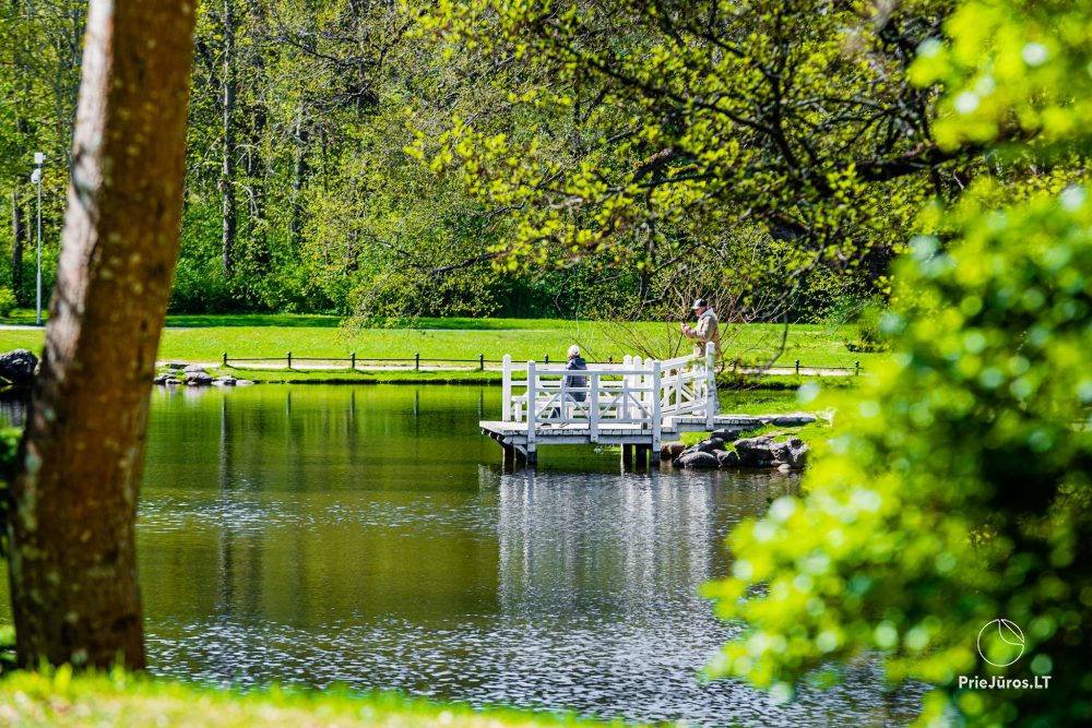 Palanga botanical park
