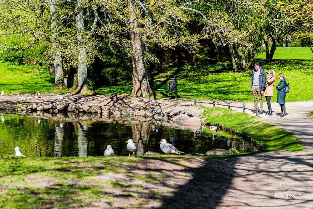 Palanga botanical park