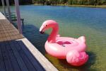 Вейкпарк в Паланге "Wakepark Palanga"