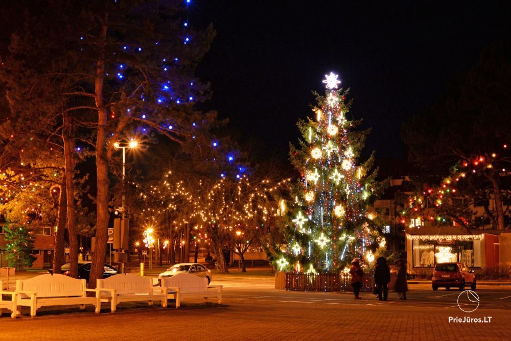 Lighting of the Christmas Tree in Nida on December 11, 2026