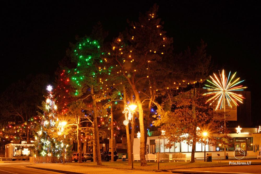Lighting of the Christmas Tree in Nida on December 11, 2026