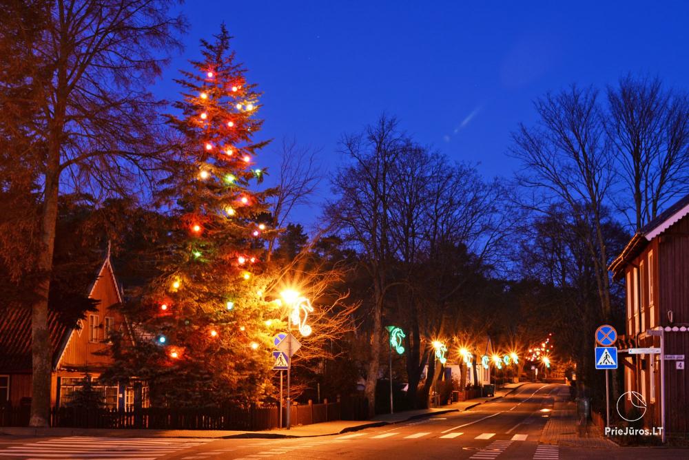 Lighting of the Christmas Tree in Nida on December 11, 2026