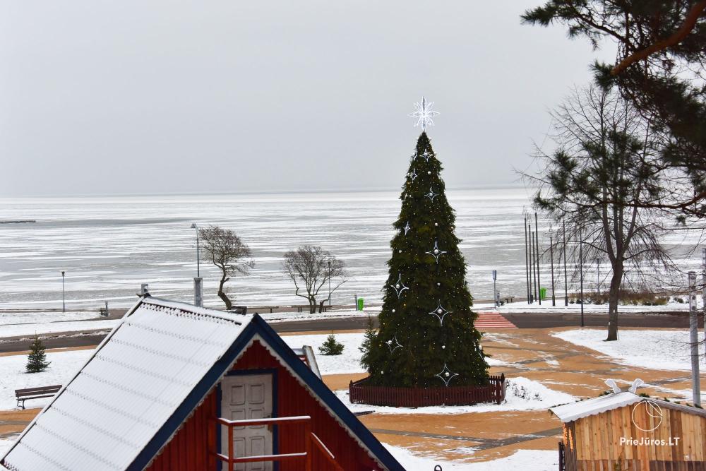 Lighting of the Christmas Tree in Nida on December 11, 2026