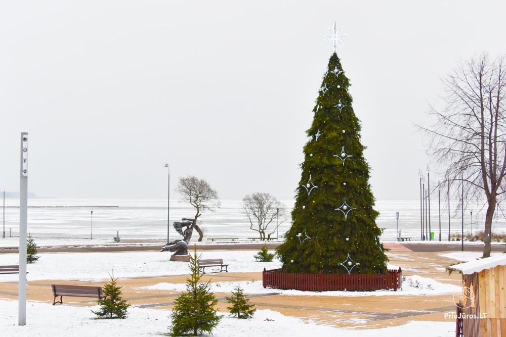 Lighting of the Christmas Tree in Nida on December 11, 2026