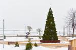 Lighting of the Christmas tree in Nida in 2025 - 3