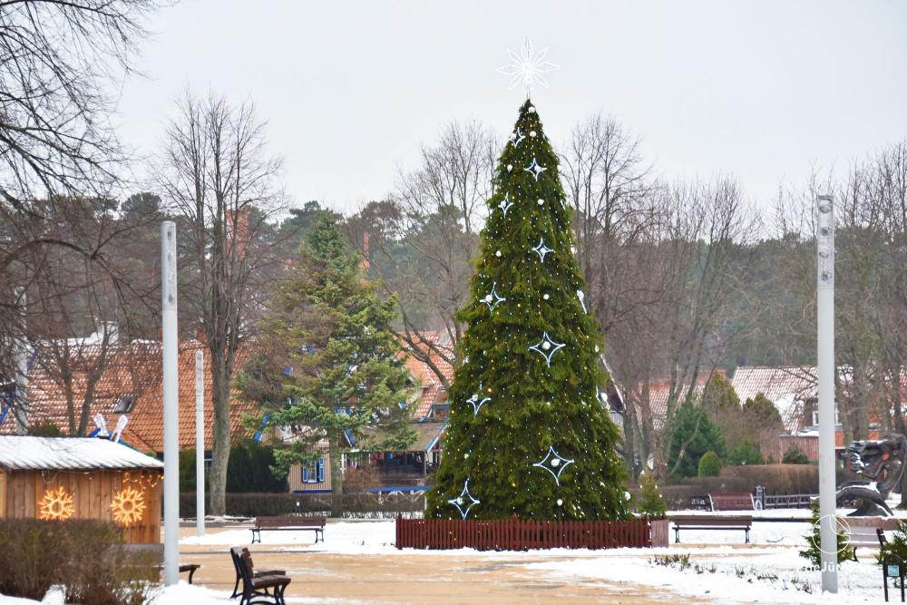 Lighting of the Christmas Tree in Nida on December 11, 2026