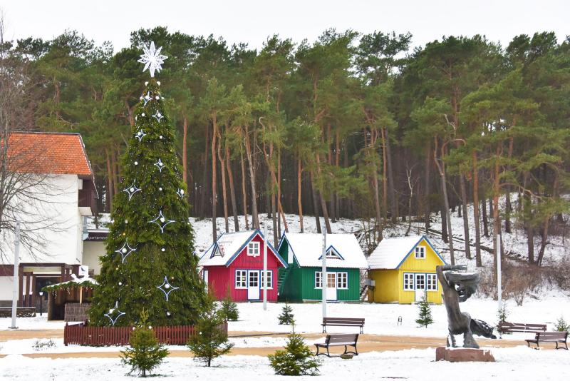 Lighting of the Christmas tree in Nida in 2025