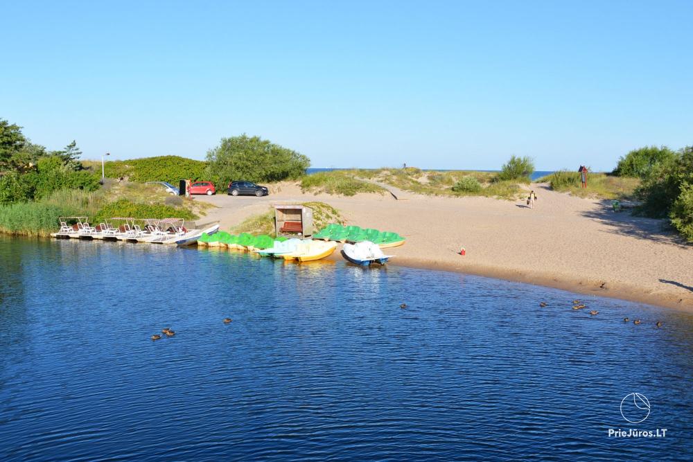 Monkey Bridge in Sventoji