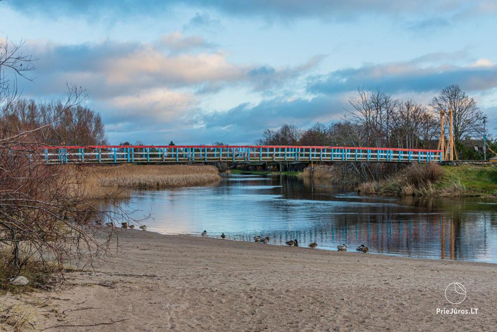 Monkey Bridge in Sventoji