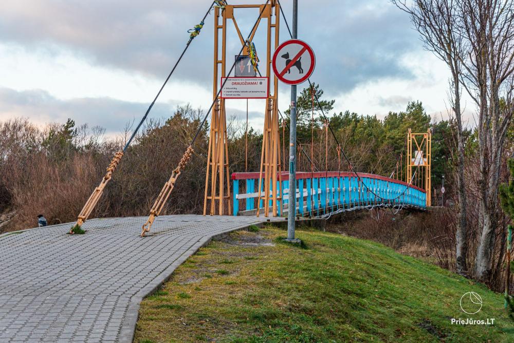 Обезьяний мост в Швянтойи - 1