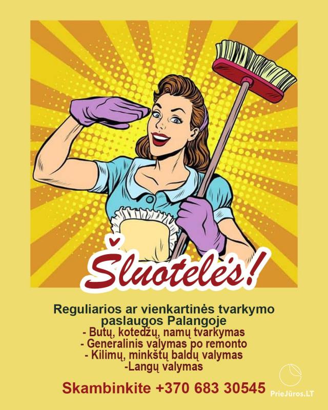 Premises cleaning services in Palanga