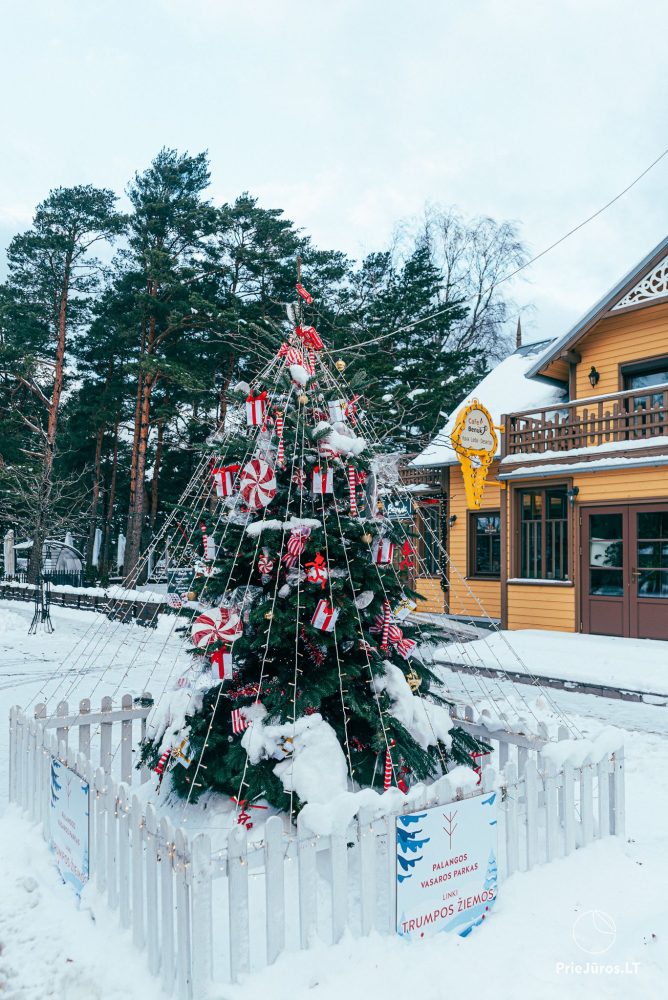 Lighting of Palangos City Christmas Tree on December 4, 2026