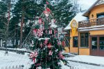Lighting of Palangos City Christmas Tree on December 4, 2026