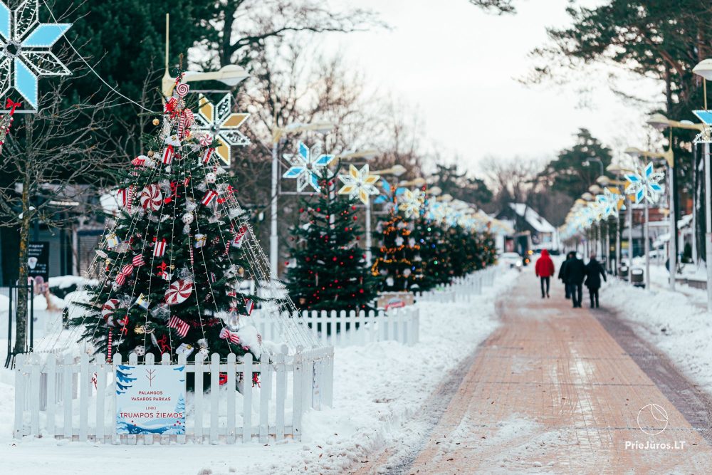 Lighting of Palangos City Christmas Tree on December 4, 2026