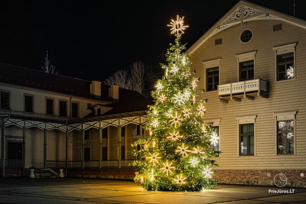 Lighting of Palangos City Christmas Tree on December 4, 2026