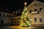 Lighting of Palangos City Christmas Tree on December 4, 2026