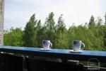 First apartment - view to the pine forest - 1