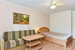 1-room apartment with a separate entrance from the yard – for up to 4 persons - 5