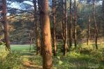 Apartment for rent in Palanga near the sea