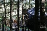 Палатки на дереве - 5
