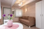 One room flat with terrace - 6